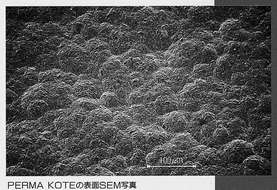 SEM Photograph of PERMA KOTE™ Surface