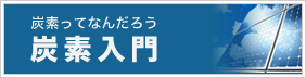 炭素ってなんだろう 炭素入門